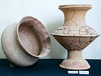 Tiếng vọng từ nguồn cội